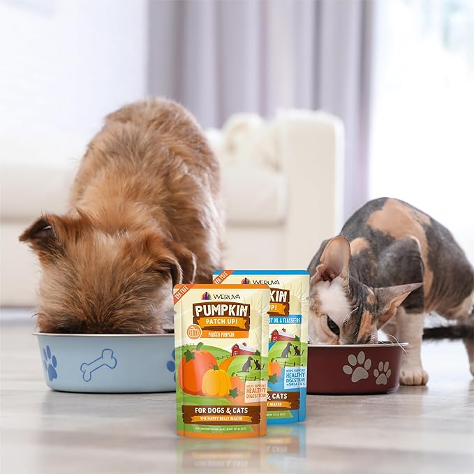 Weruva Pumpkin Patch Up! Pumpkin with Ginger & Turmeric for Dogs & Cats, 1.05oz Pouch (Pack of 12)