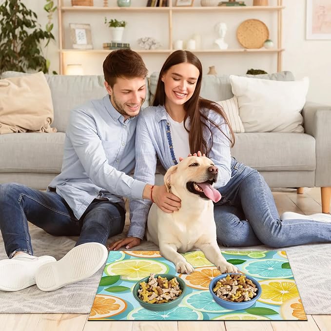 Lemon Dog Food Mat for Floors Absorbent Dog Bowl Mat for Food and Water Dispenser Quick Dry Cat Food Placemat Pet Supplies 16" x 24", Summer Fruit