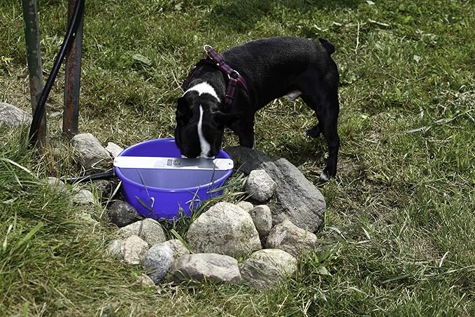 Pet Lodge® Automatic Pet Waterer | Dog Watering System | Attaches to Hose | No Overflow System | Plastic | 5 Quart