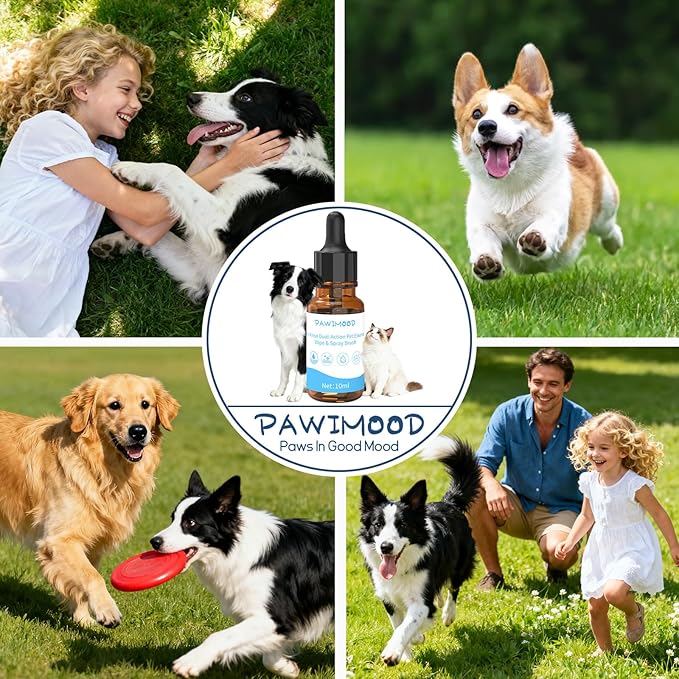 2Pcs Waterless No-Rinse Pet Shampoo Essence for Dogs & Cats, Concentrated Deodorizing Formula Neutralizes Odors & Hydrates Coat with Pomegranate Scent, for Steam Brush,0.34 oz*2