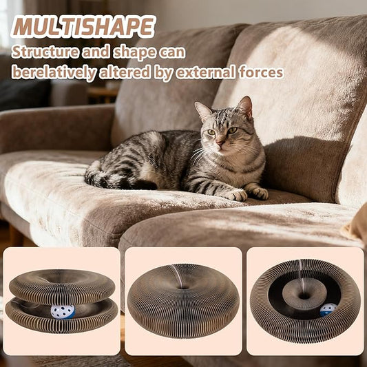 Old Version Magnetic Magic Organ Cat Scratcher Toy, Extra-Thick & Large Cardboard Cat Scratching Board Toy with Bell Ball, Interactive Enrichment Toy for Indoor Cats & Kittens