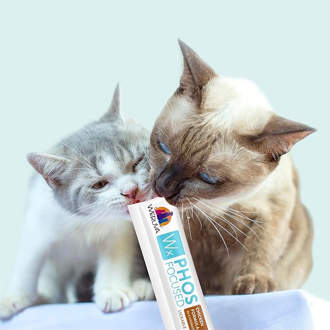 Weruva Wx Phos Focused, Chicken Formula Lickable Cat Treats, 0.5oz Tube, Pack of 50