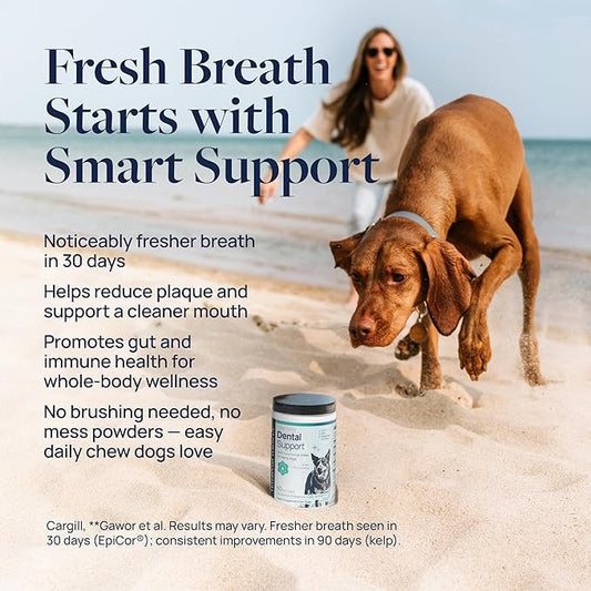 Veterinary Formula Dental Health Supplement for Dogs โ Vet-Formulated Chews with EpiCorยฎ & Kelp โ Smart Vitality Supports Plaque, Tartar, Breath & Oral Health, 60 Soft Chews