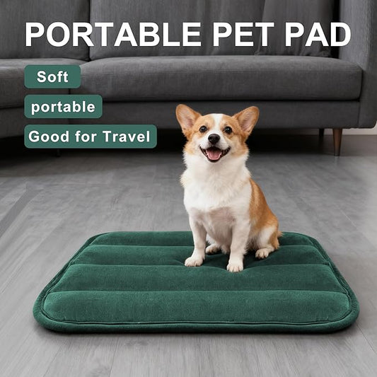 Dog Bed Mat, Reversible Dog Crate Pad with Washable Kennel Mat and Soft Foam, Flat Pet Bed for Dogs & Cats, for Crates Carriers & Travel (Green, 23" L*14" W*1.5" Th)