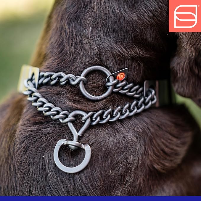 Herm. Sprenger NeckTech Fun Dog Training Collar with Quick Release Snap and Swivel, Anti Pull Collar, Stainless Steel Black (18" Neck Size; 20" Chain Length)