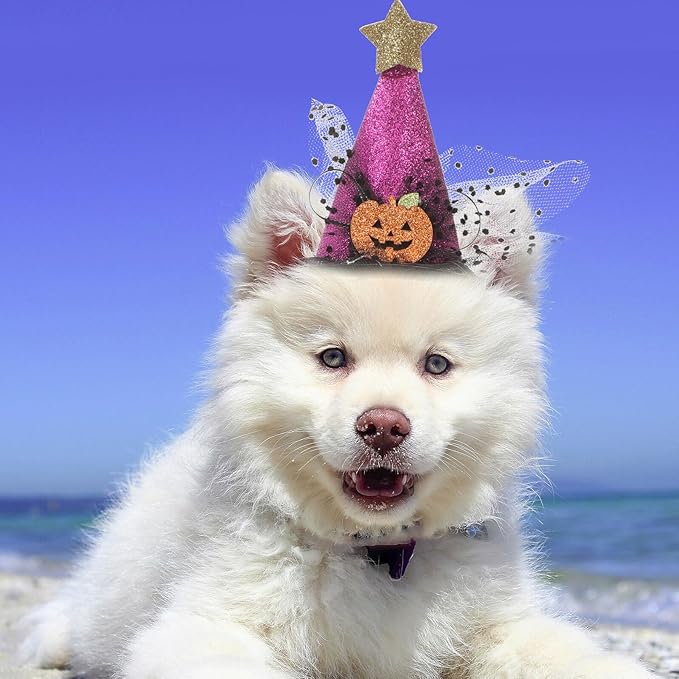 UPKOCH 2pcs Halloween Pet Hats Adjustable Party Caps for Dogs and Cats, Pumpkin Design, Purple Black, Halloween Costume Accessories for Pet Supplies