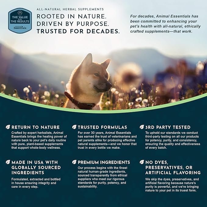 Animal Essentials Colon Rescue for Dogs & Cats - Constipation Relief, Stool Softener with Slippery Elm, Marshmallow Root, Licorice Root - 1 Fl Oz