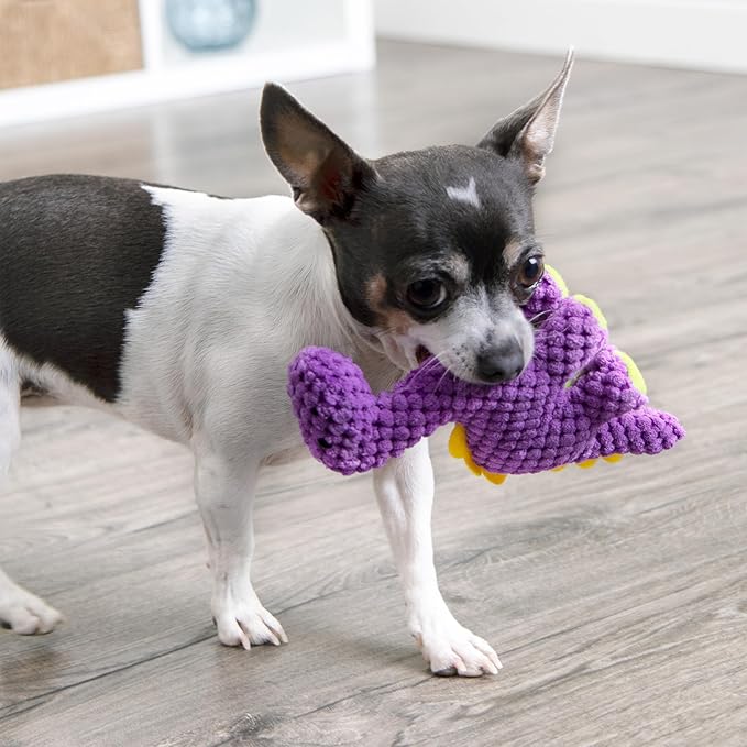 goDog Checkers Just for Me Dinos Bruto Squeaky Plush Dog Toy, Chew Guard Technology - Purple, Mini