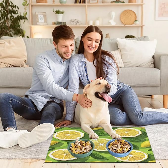 Lemon Slices Dog Food Mat for Floors Absorbent Dog Bowl Mat for Food and Water Dispenser Quick Dry Cat Food Placemat Pet Supplies 16" x 24", Summer Fruit