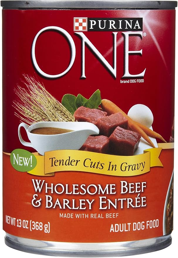 Purina One Wholesome Beef & Barley Canned Dog Food