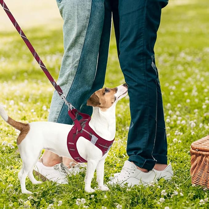 PUPTECK Adjustable Dog Harness Collar and Leash Set Step in No Pull Pet Harness for Small Medium Dogs Puppy and Cats Outdoor Walking Running, Soft Mesh Padded Reflective Vest Harnesses, Red XL