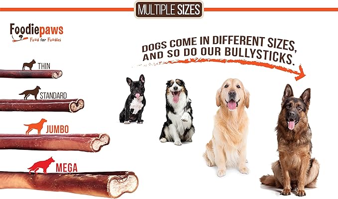 FOODIEPAWS 12 Inch Bully Sticks for Dogs, 5 Pack | All Natural, Grass-Fed Beef Pizzle | Rawhide-Free & Odor-Free Dog Chews | Fully Digestible, Long Lasting Treats for Medium & Large Dogs