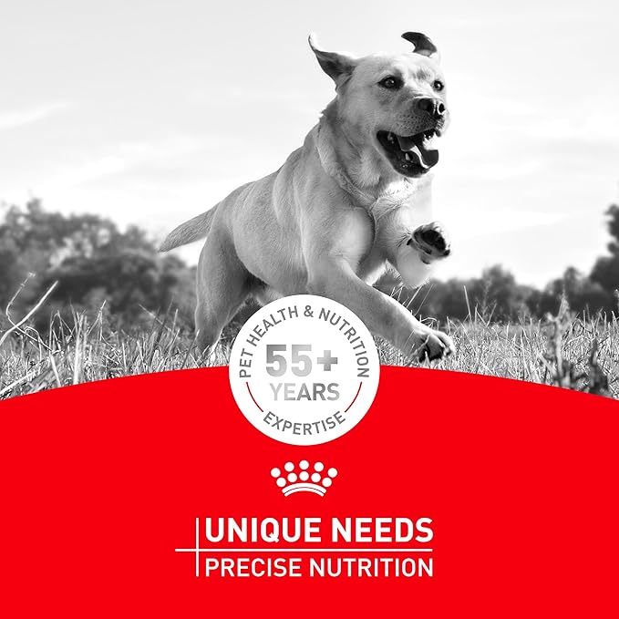 Royal Canin Breed Health Nutrition French Bulldog Wet Dog Food for Adult Dogs, Loaf Wet Food for French Bulldogs 12 Months+, Supports Digestive Health and Bone & Joint Health, 3 oz can