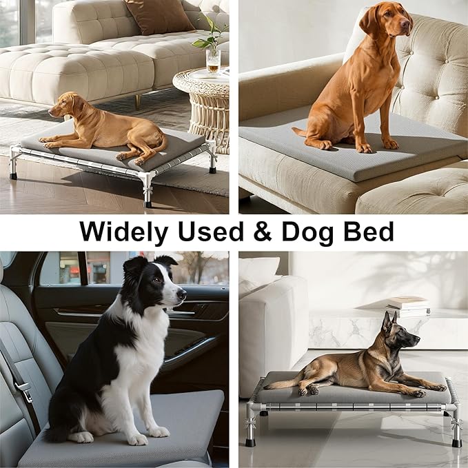 Elevated Raised Outdoor Dog Bed - Cooling Lifted Outside Dogs Bed with Cushion Mat Dog Hammock Bed with Stainless Steel Frame Portable Puppy Pet Bed for Indoor & Outdoor (M:34" x 26" x 8")