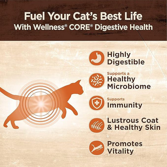 Wellness Core Digestive Grain Free Canned Cat Wet Food Pate - 12 Pack Cans Variety Bundle Pack 4 Flavor - (Chicken, Salmon Whitefish & Turkey) with Hotspot Pets Pet Food Bowl - (3 Oz)