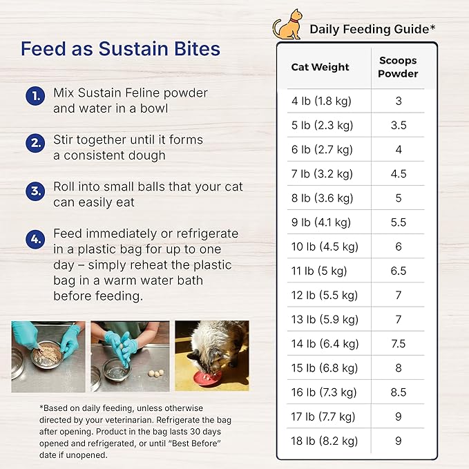 Sustain Feline Recovery Food for Cats 100 g