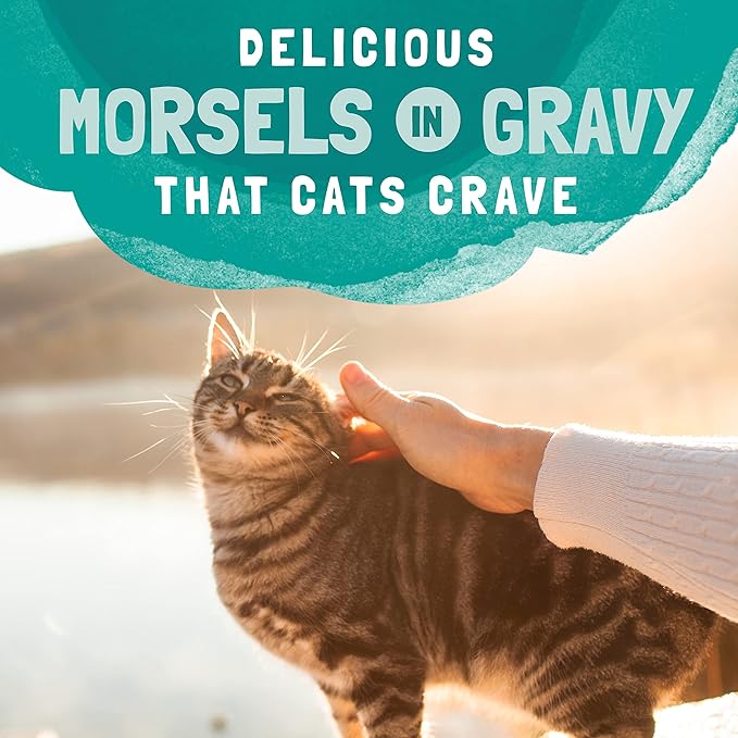 Natural Balance Original Ultra Platefulls Adult Grain-Free Wet Cat Food, Chicken & Salmon Recipe, 3 Ounce Pouch (Pack of 24)