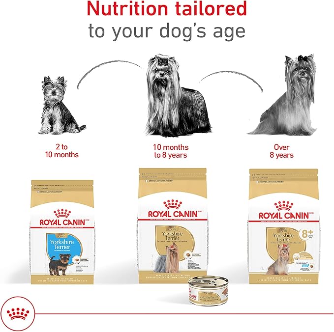 Royal Canin Yorkshire Terrier Adult Breed Specific Wet Dog Food, 3 oz can (4-pack)