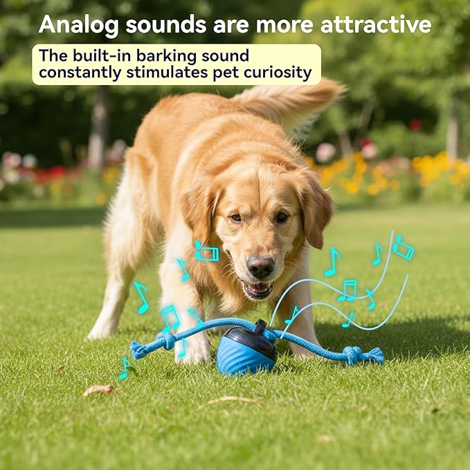 Interactive Dog Toys with Motion Activated, Squeaky Dog Toy Active Rolling Ball for Puppy and Medium Dogs, USB Rechargeable, Wicked Ball
