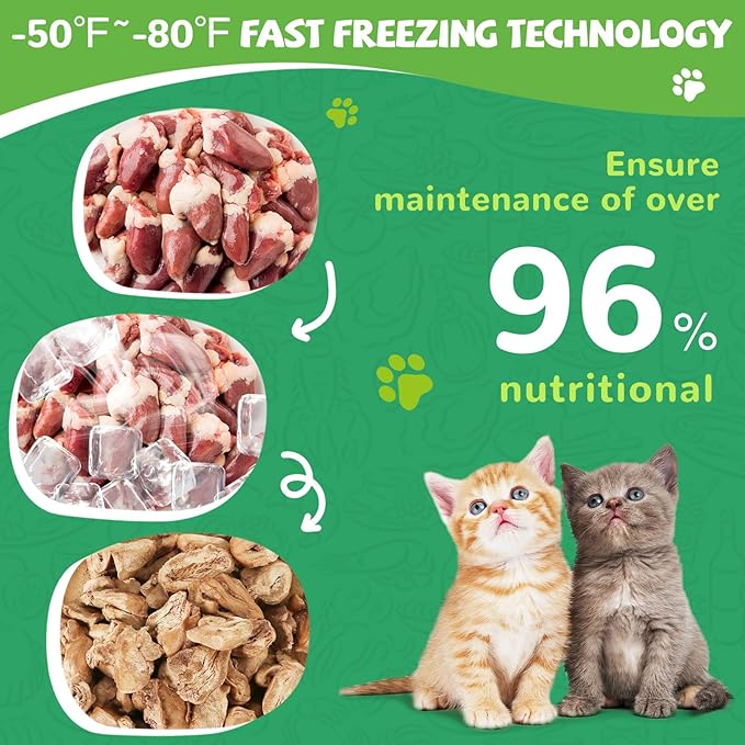 PAWUP Freeze Dried Salmon Cat Treats, Freeze Dried Chicken Heart Pet Treats, High Protein Freeze-Dried Pet Food for Dogs, Cats, Fresh Ingredient