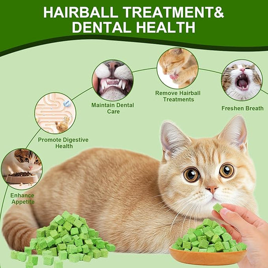 140g Freeze-Dried Cat Grass Treats, Natural Hairball Treatment for Cats, Edible Cats Chew Toy Cat Treats Snack for Teething Cleaning Hairball Removal