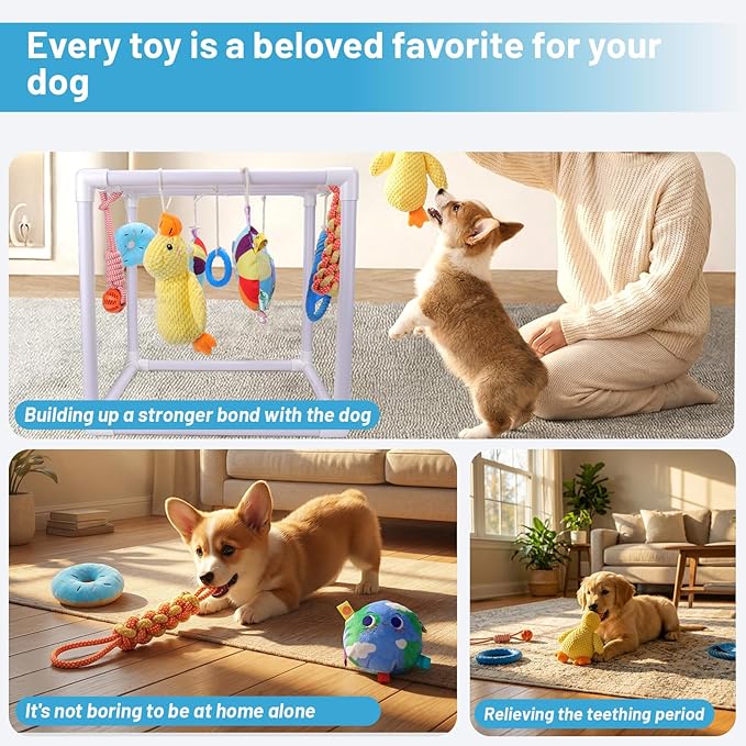 BABORUI Puppy Play Gym, Indoor Hanging Activity with 9 Toys, Puppy Toys to Keep Them Busy, Adjustable Playground for Small Dogs at Home