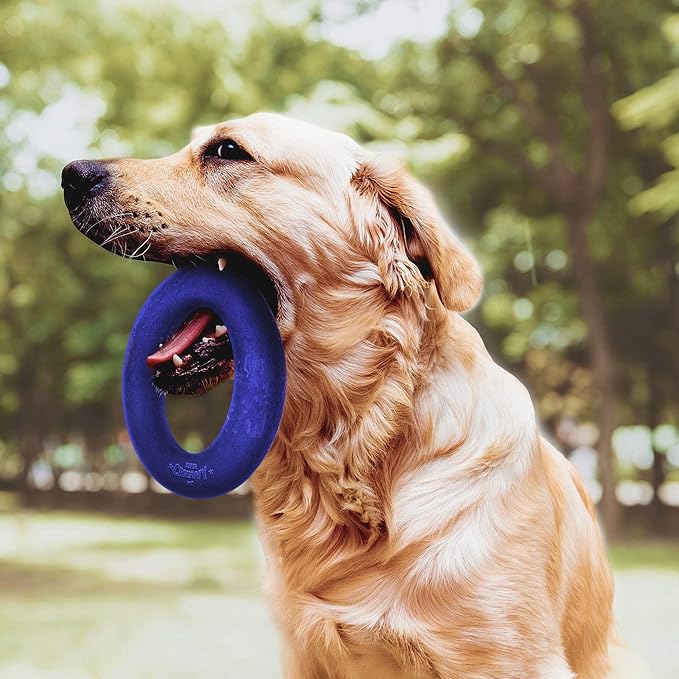 Tuff Pupper SuperChewer Tough Dog Ring Toy | Lifetime Replacement | Strong Natural Rubber | Chew Toys for Aggressive Chewers | Durable Tug Play | Strong Dog Ring Toy | Large Breed Tested