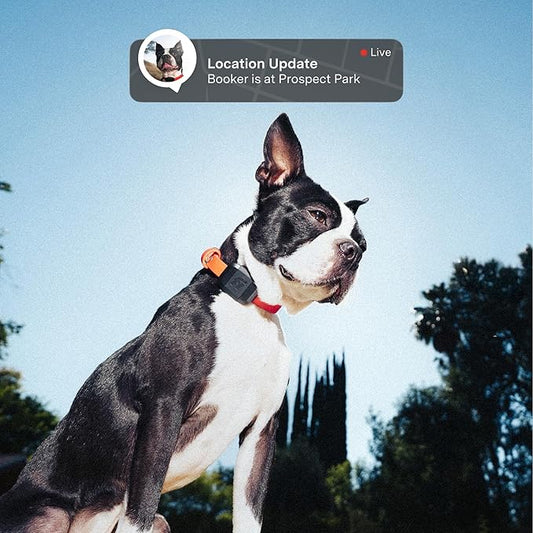 Fi Mini GPS Tracker for Dogs — 12-Month Membership Included — Smart Pet Tracking Collar Attachment — Lightweight, Virtual Fences, Escape Alerts, Step & Health, Waterproof