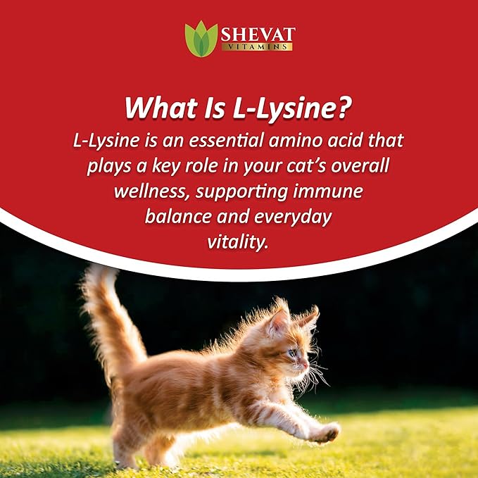 L-Lysine Liquid Supplement for Cats – Immune & Respiratory Support – Supports Eye Health, Sneezing & Runny Nose – 60ml Liquid Drops – Roast Chicken Flavor