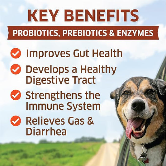 Probiotics for Dogs - Hot Spot Remedy for Dogs + Prebiotic - Dog Allergy Chews - Improve Digestion & Upset Tummy, Relieve Gas & Diarrhea, Dog Probiotics and Digestive Enzymes, 120 Dog Probiotic Chews