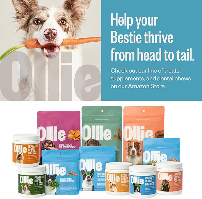 Ollie Salmon and Coconut Jerky Dog Treats, All Natural, Healthy Snacks, Made with Real Meat 5 Oz. Human Grade, Pack of 1, for Dogs