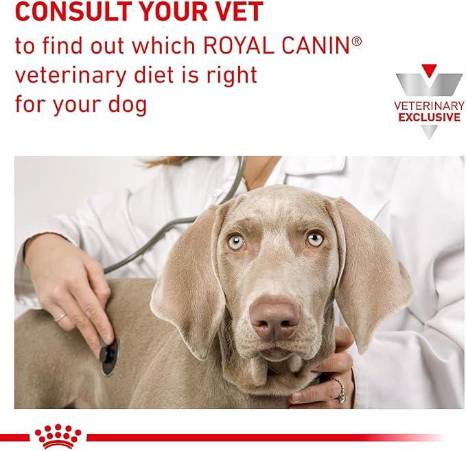 Royal Canin Veterinary Diet Canine Urinary SO Moderate Calorie Adult Thin Slices in Gravy Dog Food, 12.5 oz (Pack of 6)