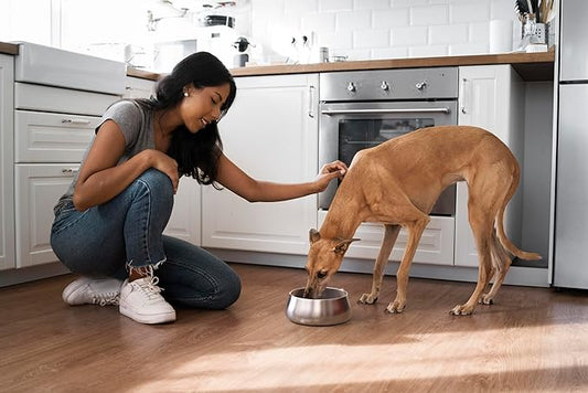 Sipworks Stainless Steel Dog Bowl โ 32oz Weighted Metal Food and Water Bowls for Dogs and Cats with Non-Slip Base - Pet Bowls for All Breeds Sizes for Travel & Outdoor Play - Steel