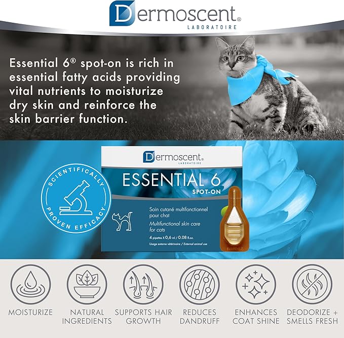 Bayer Dermoscent Essential 6 Spot On Skin Care for Cats Pet Itch Remedies