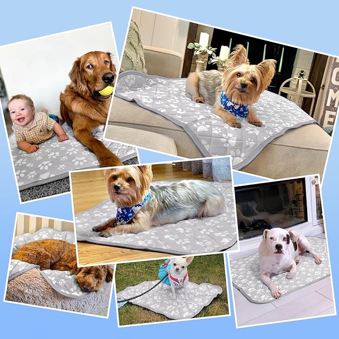 Rywell Cooling Mat for Dogs New Grey Edition, 30''x 20''Endothermic Color Changing Arc-Chill Cooling Fiber,Washable Non-Toxic Summer Pet Outdoor Bed Mat, Non-Slip&Foldable