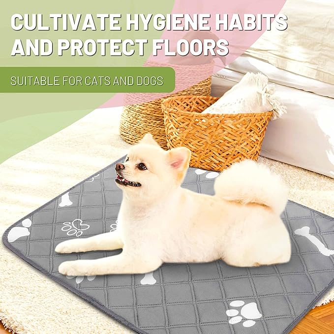 PatiencET Washable Pee Pads for Dogs, 18" x 24" 4 Pack, Reusable Puppy Training Pads with Super Absorbent Core & Non-Slip Waterproof Bottom, Value Set for Small Dogs
