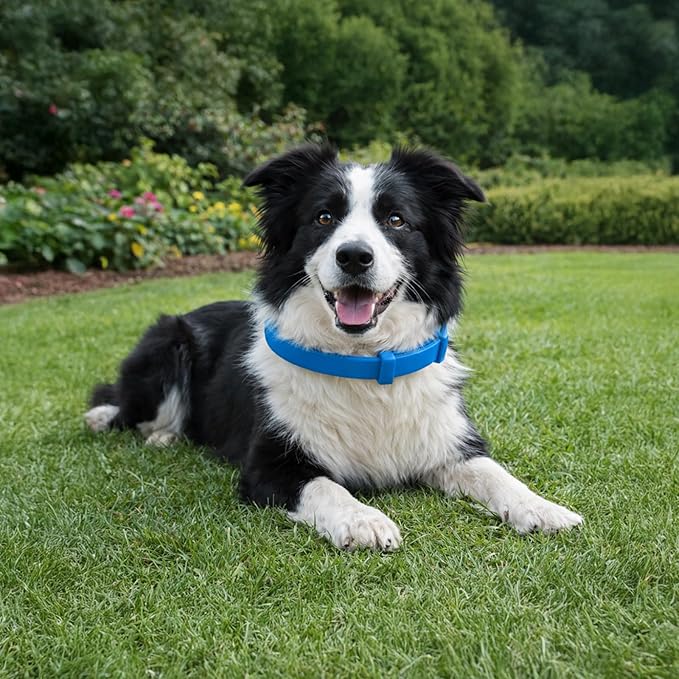 Pheromone Dog Calming Collar, 4 Pcs Blue, 24.5 in Adjustable Soothing Collar for All Dog Sizes, Pet Supplies for Anxiety and Separation Stress