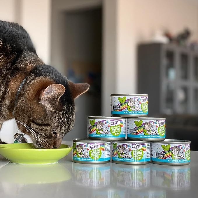 Weruva B.F.F. OMG - Best Feline Friend Oh My Gravy!, Chicken & Salmon Stir It Up with Chicken & Salmon in Gravy, 2.8oz Can (Pack of 12)