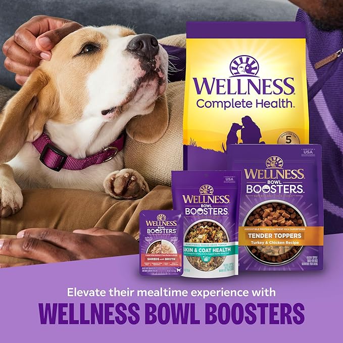 Wellness Bowl Boosters Hearty Toppers, Wet Dog Food Topper for Small, Medium, & Large Breeds, Grain Free, Natural, Beef & Green Beans in Broth, 5.5 Ounce Pouch (Pack of 12)