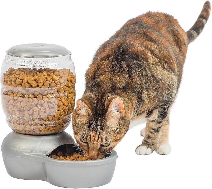 Petmate Replendish Feeder with Automatic Cat and Dog Feeder Grey, Made in USA