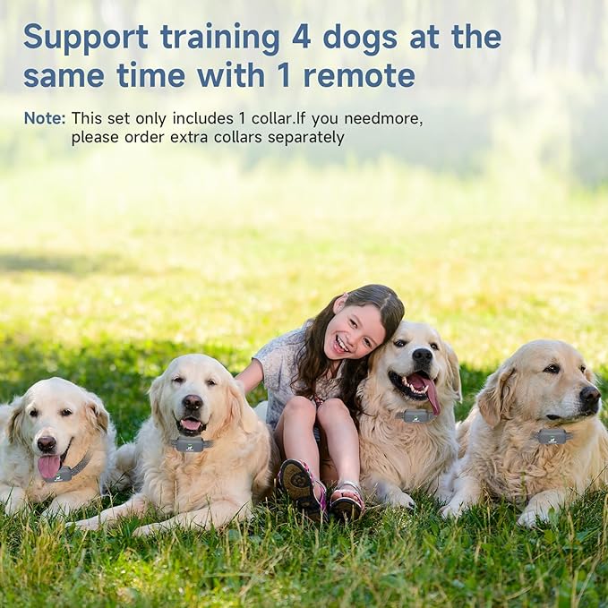 Dog Training Collar with Remote 3/4 Mile,Long Battery Life up to 185 Days,3 Modes 5 Beeps Vibration Shock,Dog Shock Collar with Security Lock,Waterproof,NO Electronic Fence Function