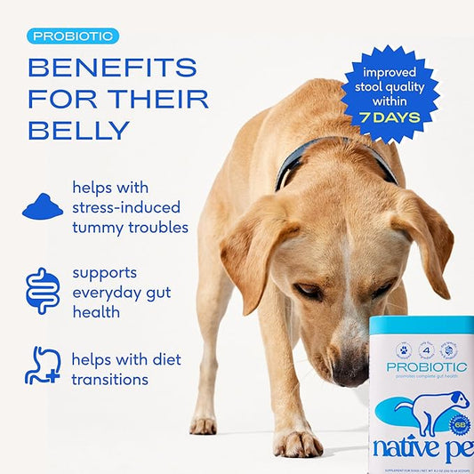 Native Pet Probiotics for Dogs - Dog Probiotics Powder for Digestive Health, Gut Support, & Immune Boost โ Vet-Formulated Powder for Maximum Potency with Digestive Enzymes & Prebiotics - 120 Scoops