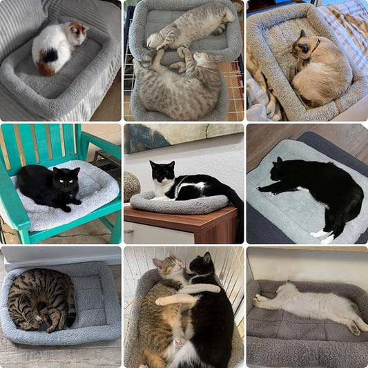 PETLESO Small Cat Bed Mat, 22" x 16" Plush Cushion with Surrounding Pillow for Small to Meidum Dogs Cats Sleeping, Indoor Pet Beds Furniture Carrier Crate Anti Skid Pad, Washable, Medium