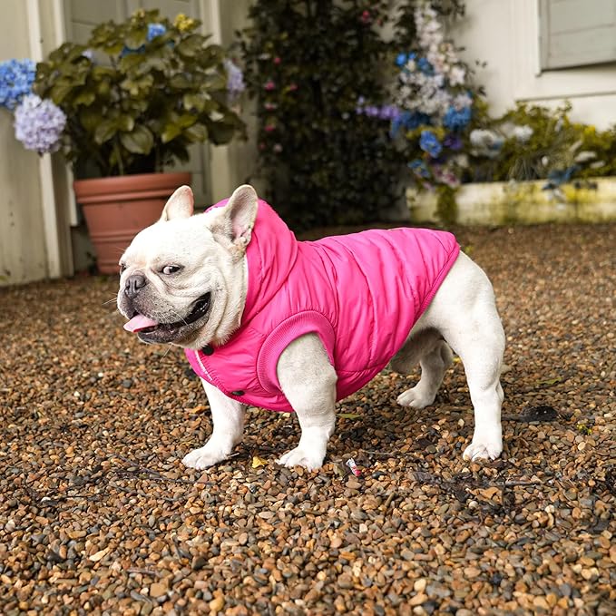 Fleece Lining Extra Warm Dog Hoodie in Winter for Medium Dogs Jacket Pet Coats with Hooded Pink L