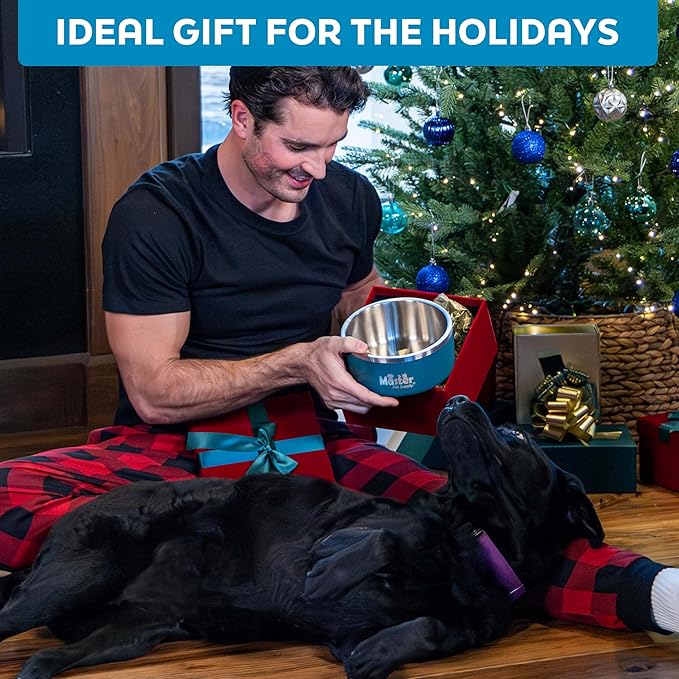 Master Pet Supply Stainless Steel Dog Bowls - 32 oz, Heavy Duty - True Blue, Double Wall Extra-Thick Insulated, Non-Slip Pet Water Bowl for Dogs, Cats & Pets, Anti Rust Metal, Dish Washer Safe