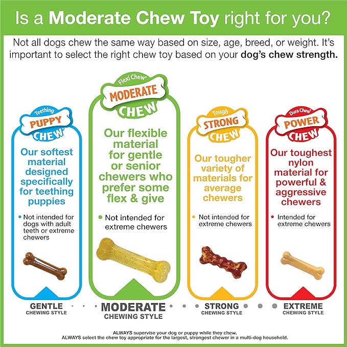 Nylabone Moderate Chew Flexi Chew Bone Peanut Butter & Bacon XX-Small/Tiny (2 Count)