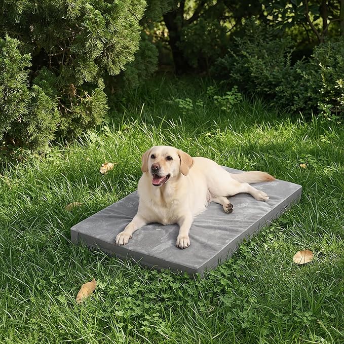 Waterproof XXL Dog Beds Large Sized Dog, Outdoor Orthopedic Washable Crate Pad 48 inch, Jumbo XXLarge Foam Pet Bed with Removable Cover Reversible, Durable Anti-Slip Kennel Pad, 47"x29", Gray