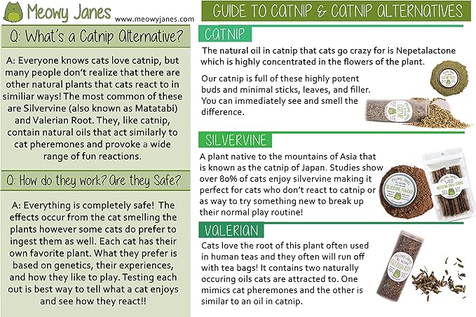 Meowy Janes Silver Vine for Cats - 45 Grams of Powder - All Natural Catnip Alternative