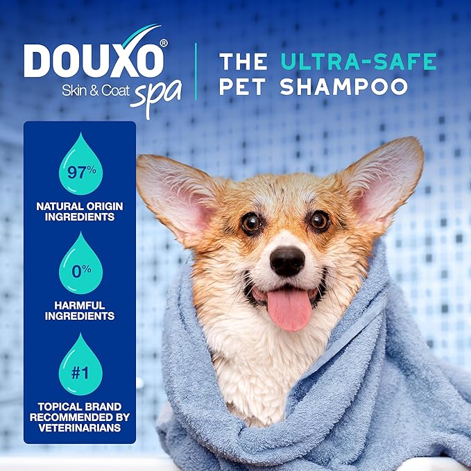 DOUXO® Skin & Coat SPA – Ultra-Safe Combo for Dogs, Odor Control Shampoo (16 fl oz, Cleanses & Removes Odor) + Multi-Action Odor Control Spray (11.5 fl oz, Deodorizes)