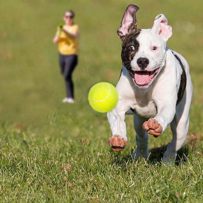 BESTHLS Pet Ball for Dog Small 2inch Pet Toy Tennis Balls for Pet Puppy Tiny Small Dogs Fetching Exercise & Training (16 Pack)